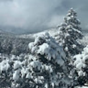 Meet your Posher, Joan